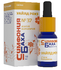 Симфония Баха №37 «УАЙЛД РОУЗ»