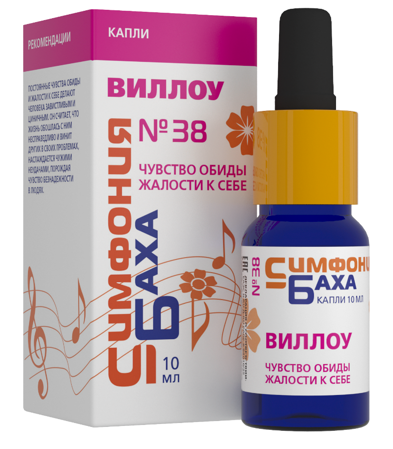 Симфония Баха №38 «ВИЛЛОУ»