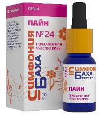 Симфония Баха №24 «ПАЙН»